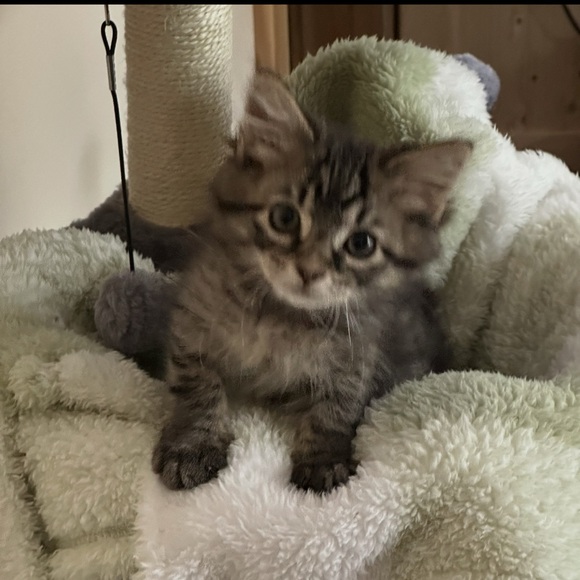 Share show - Picture 14 of 14